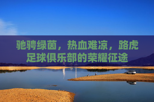 驰骋绿茵,热血难凉,路虎足球俱乐部的荣耀征途