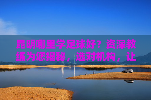 昆明哪里学足球好?资深教练为您揭秘,选对机构,让孩子爱上绿茵场