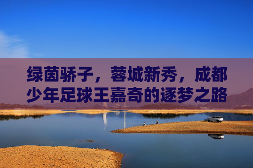 绿茵骄子,蓉城新秀,成都少年足球王嘉奇的逐梦之路