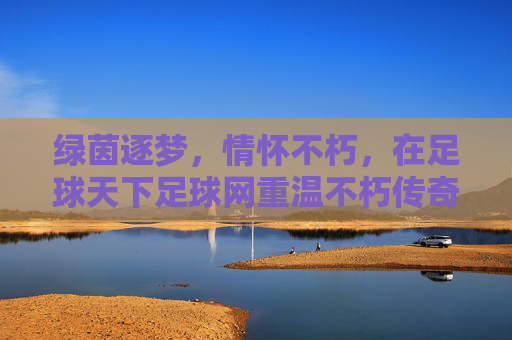 绿茵逐梦,情怀不朽,在足球天下足球网重温不朽传奇