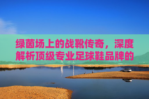 绿茵场上的战靴传奇,深度解析顶级专业足球鞋品牌的科技与美学