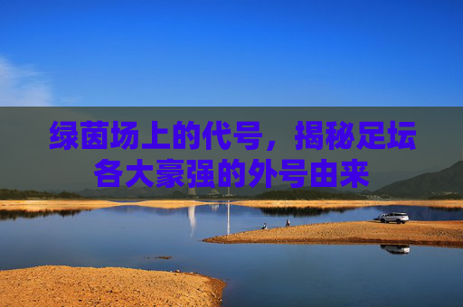 绿茵场上的代号,揭秘足坛各大豪强的外号由来
