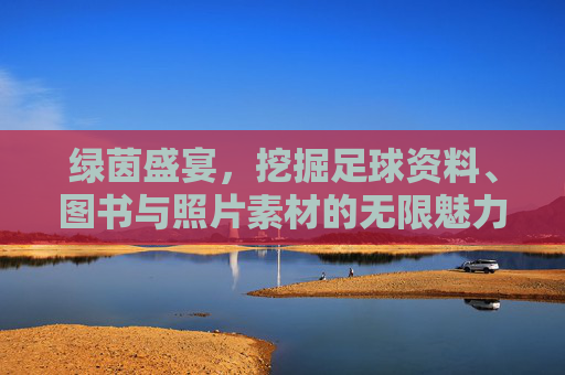 绿茵盛宴,挖掘足球资料、图书与照片素材的无限魅力