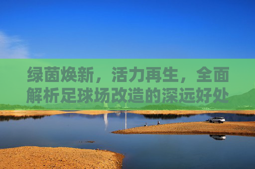 绿茵焕新，活力再生，全面解析足球场改造的深远好处