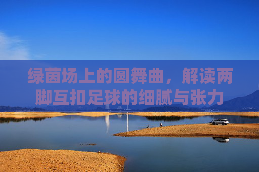 绿茵场上的圆舞曲,解读两脚互扣足球的细腻与张力