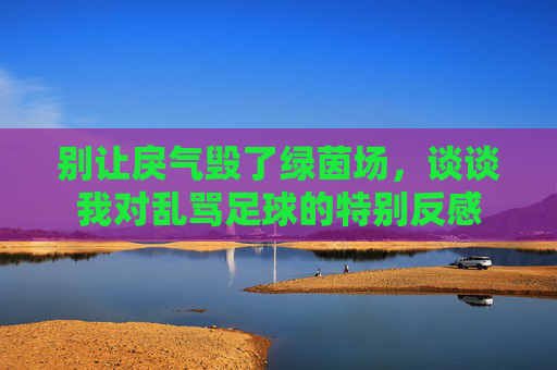 别让戾气毁了绿茵场,谈谈我对乱骂足球的特别反感