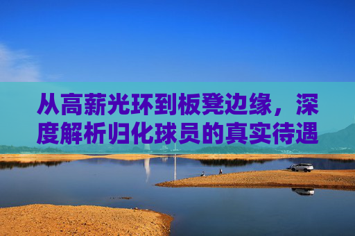 从高薪光环到板凳边缘,深度解析归化球员的真实待遇与现状