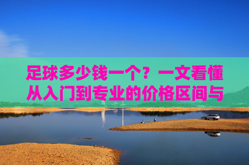 足球多少钱一个?一文看懂从入门到专业的价格区间与选购指南