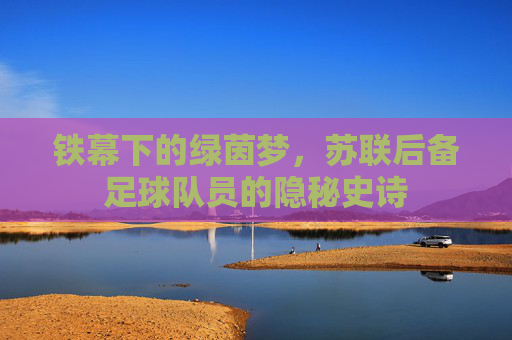 铁幕下的绿茵梦，苏联后备足球队员的隐秘史诗
