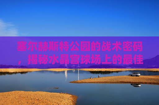 塞尔赫斯特公园的战术密码,揭秘水晶宫球场上的最佳进球位置
