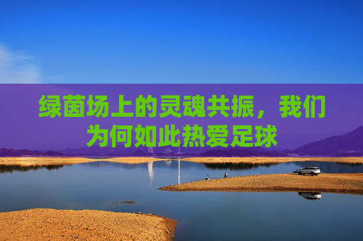 绿茵场上的灵魂共振,我们为何如此热爱足球