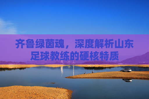 齐鲁绿茵魂,深度解析山东足球教练的硬核特质
