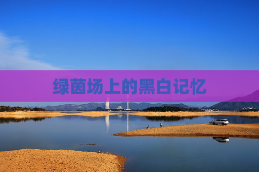 绿茵场上的黑白记忆