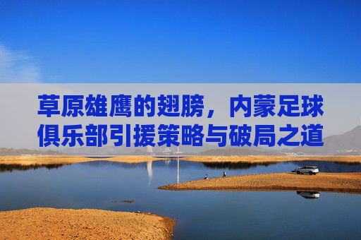 草原雄鹰的翅膀，内蒙足球俱乐部引援策略与破局之道