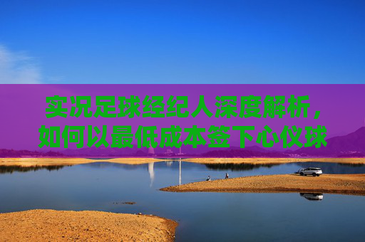 实况足球经纪人深度解析,如何以最低成本签下心仪球星?