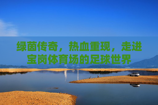 绿茵传奇,热血重现,走进宝岗体育场的足球世界