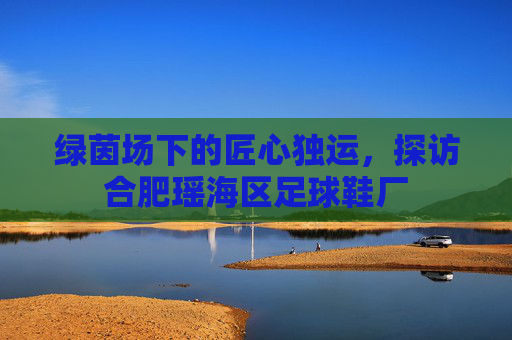 绿茵场下的匠心独运,探访合肥瑶海区足球鞋厂