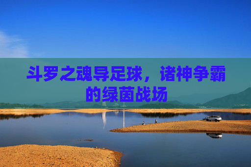 斗罗之魂导足球,诸神争霸的绿茵战场