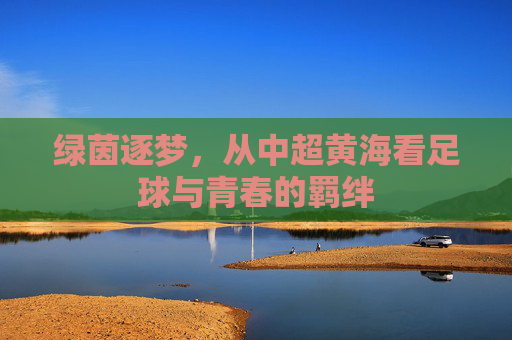 绿茵逐梦，从中超黄海看足球与青春的羁绊