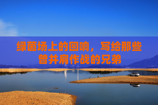 绿茵场上的回响,写给那些曾并肩作战的兄弟