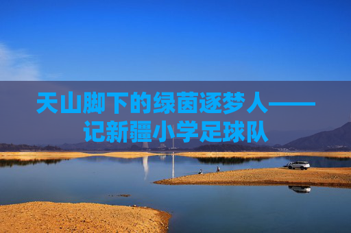 天山脚下的绿茵逐梦人——记新疆小学足球队