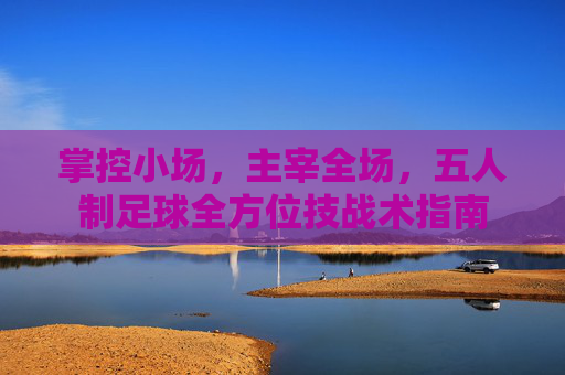 掌控小场,主宰全场,五人制足球全方位技战术指南