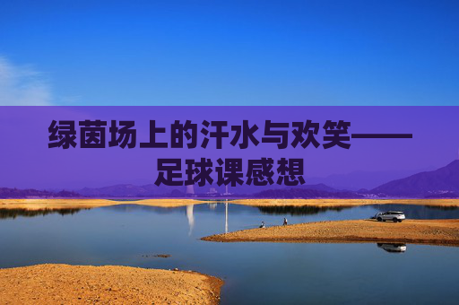 绿茵场上的汗水与欢笑——足球课感想