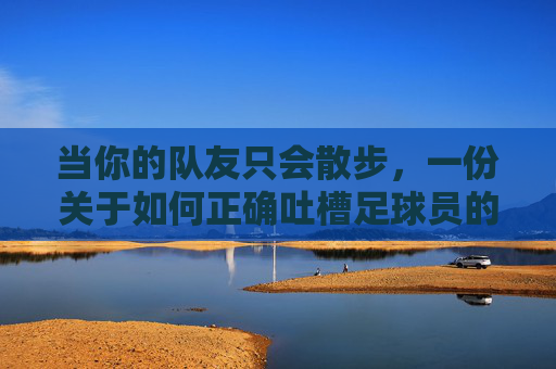 当你的队友只会散步,一份关于如何正确吐槽足球员的实战指南