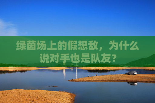 绿茵场上的假想敌,为什么说对手也是队友?