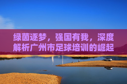 绿茵逐梦,强国有我,深度解析广州市足球培训的崛起与选择指南