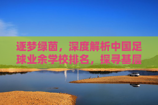 逐梦绿茵,深度解析中国足球业余学校排名,探寻基层足球的崛起之路