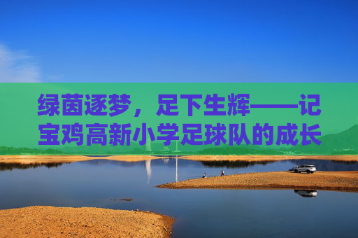 绿茵逐梦,足下生辉——记宝鸡高新小学足球队的成长与风采