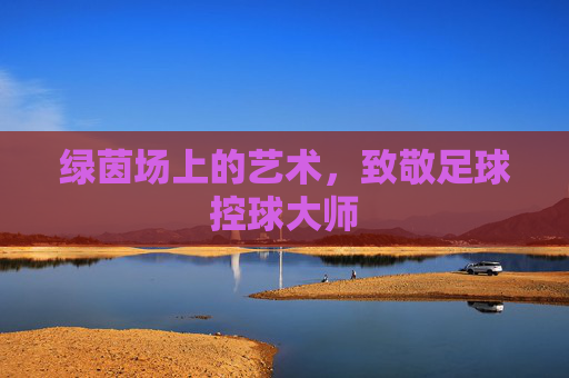 绿茵场上的艺术,致敬足球控球大师