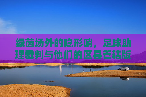 绿茵场外的隐形哨，足球助理裁判与他们的区县管辖版图