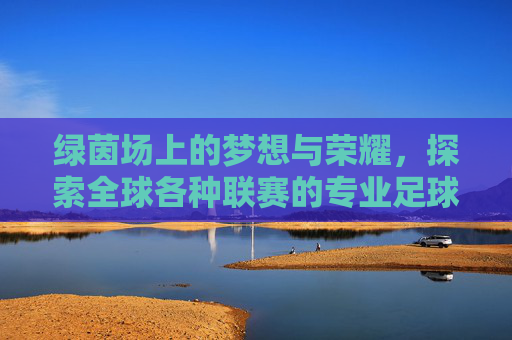 绿茵场上的梦想与荣耀，探索全球各种联赛的专业足球队