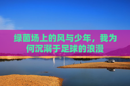 绿茵场上的风与少年，我为何沉溺于足球的浪漫