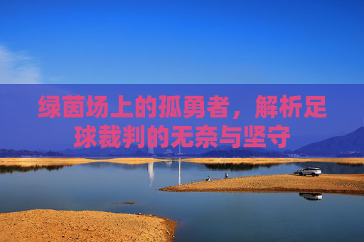 绿茵场上的孤勇者，解析足球裁判的无奈与坚守