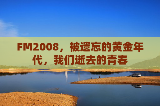 FM2008,被遗忘的黄金年代,我们逝去的青春