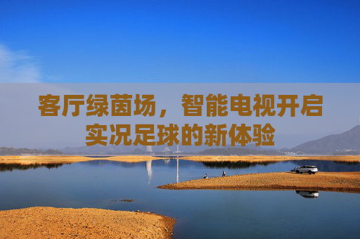 客厅绿茵场，智能电视开启实况足球的新体验