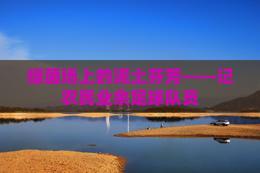 绿茵场上的泥土芬芳——记农民业余足球队员