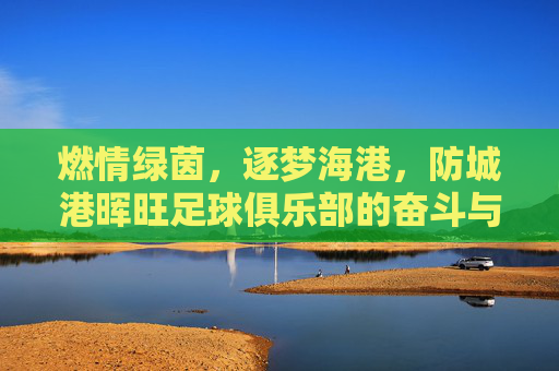 燃情绿茵，逐梦海港，防城港晖旺足球俱乐部的奋斗与荣光