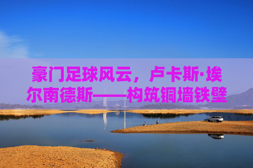 豪门足球风云，卢卡斯·埃尔南德斯——构筑铜墙铁壁的防守基石