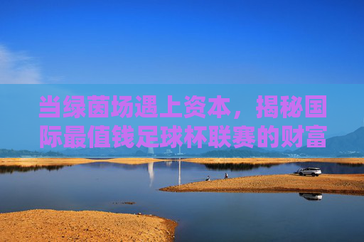 当绿茵场遇上资本，揭秘国际最值钱足球杯联赛的财富密码