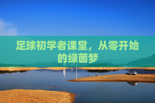 足球初学者课堂，从零开始的绿茵梦