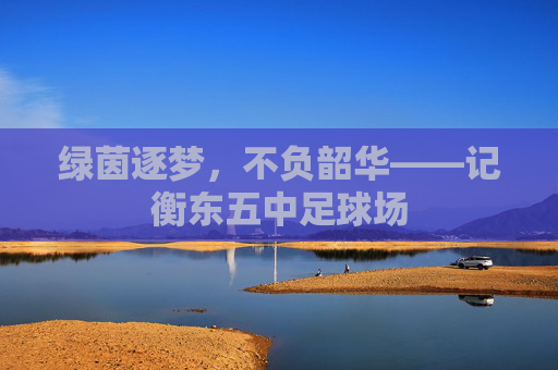 绿茵逐梦，不负韶华——记衡东五中足球场