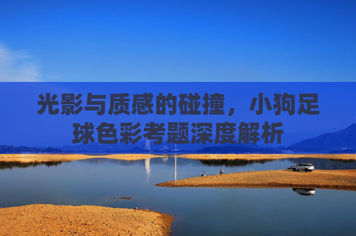 光影与质感的碰撞，小狗足球色彩考题深度解析