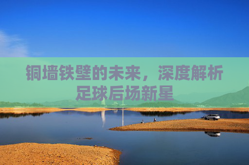 铜墙铁壁的未来，深度解析足球后场新星