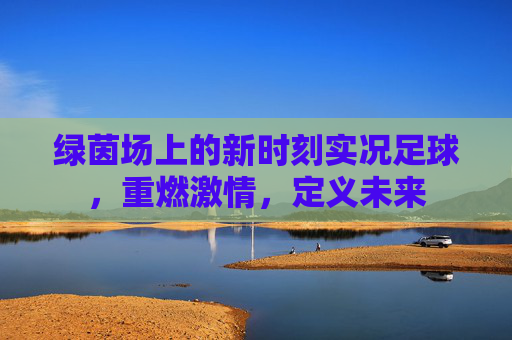 绿茵场上的新时刻实况足球，重燃激情，定义未来