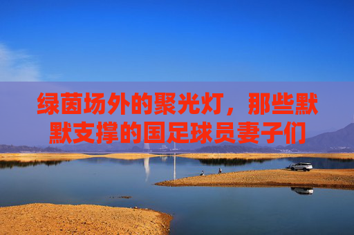 绿茵场外的聚光灯，那些默默支撑的国足球员妻子们