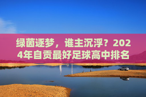 绿茵逐梦，谁主沉浮？2024年自贡最好足球高中排名大揭秘